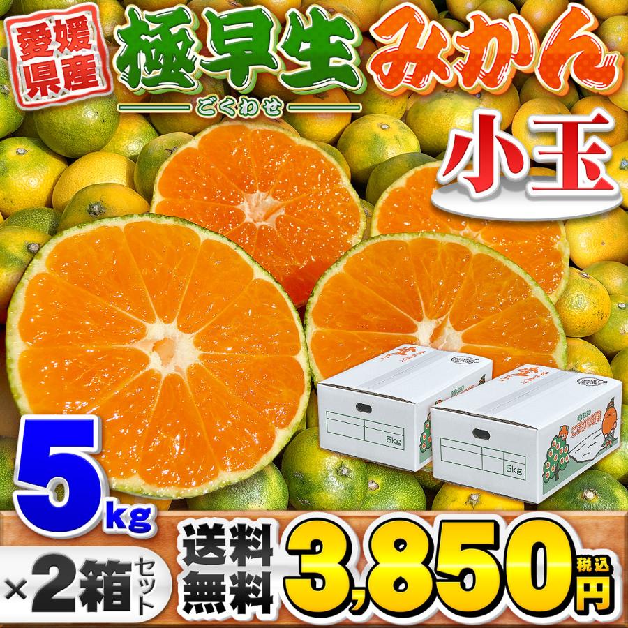 極早生みかん 小玉 5kg×2箱セット 愛媛県産 小玉みかん 自宅用