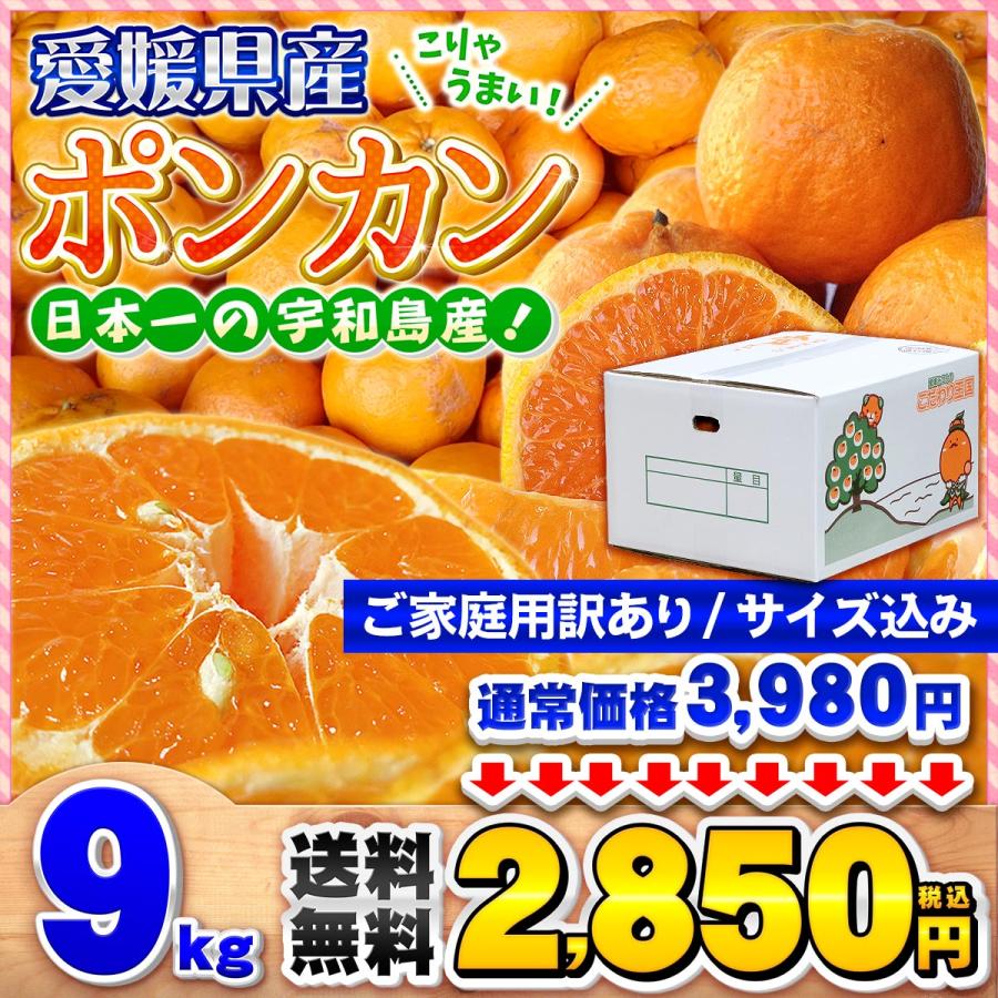 ポンカン 9kg 自宅用 愛媛県産 宇和島 大きさ おまかせ サイズ込み 箱