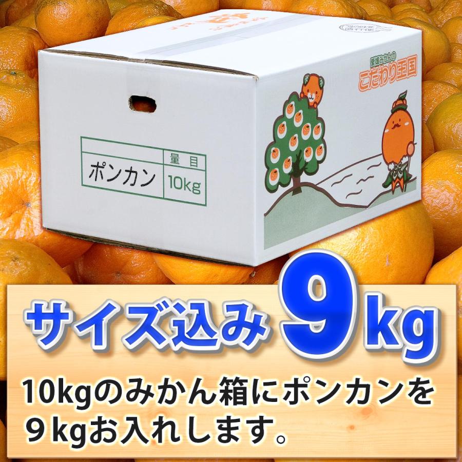 ポンカン 9kg 自宅用 愛媛県産 宇和島 大きさ おまかせ サイズ ポンカン 9kg 自宅用 愛媛県産 宇和島 大きさ おまかせ サイズ