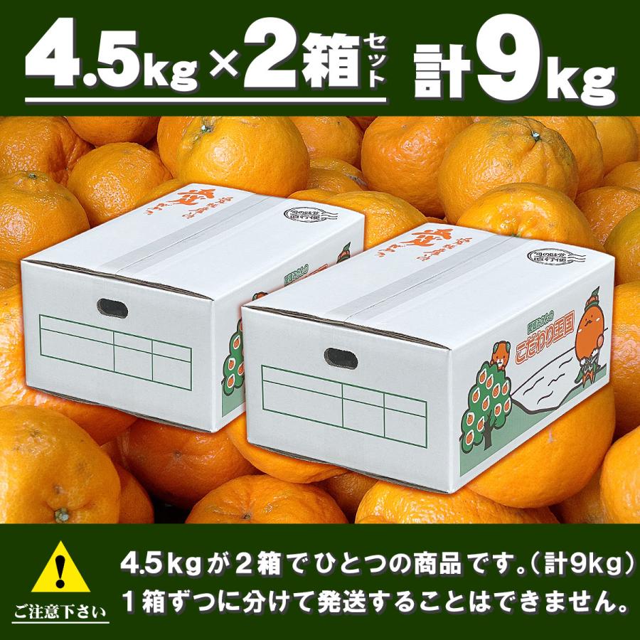 ポンカン 4.5kg×2箱セット 自宅用 愛媛県産 宇和島 大きさ ポンカン 4.5kg×2箱セット 自宅用 愛媛県産 宇和島 大きさ