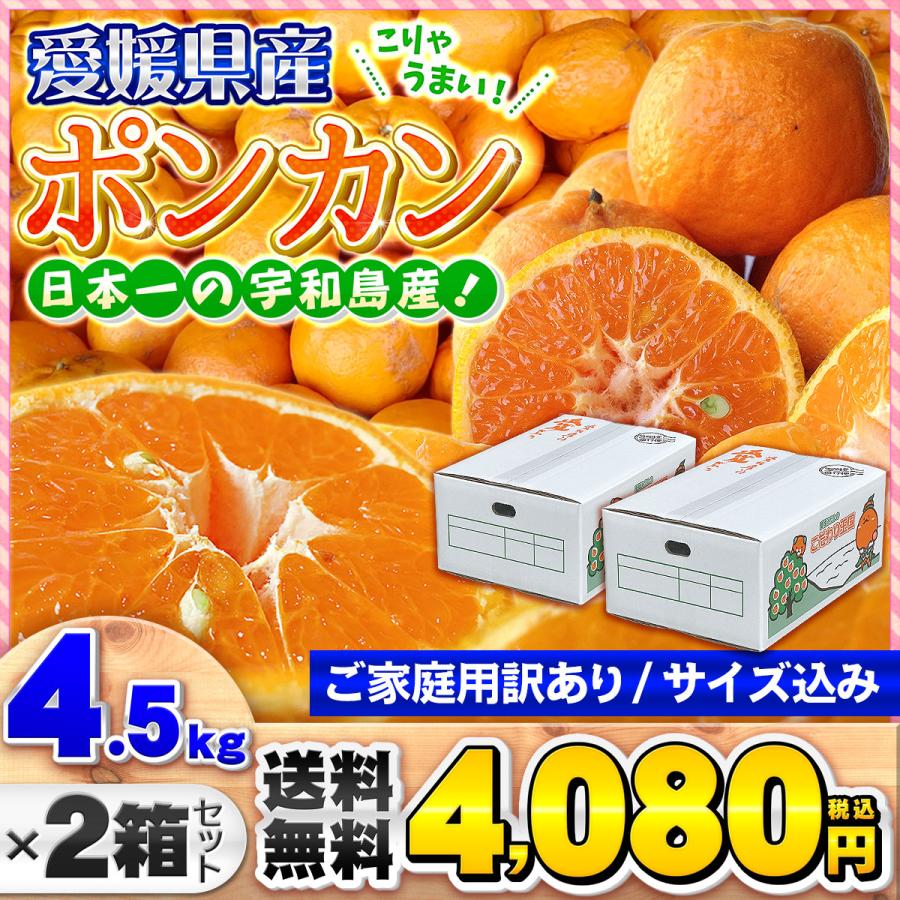 ポンカン 4.5kg×2箱セット 自宅用 愛媛県産 宇和島 大きさ おまかせ