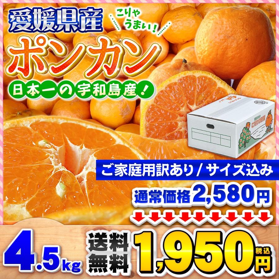 ポンカン 4.5kg 自宅用 愛媛県産 宇和島 大きさ おまかせ サイズ込み