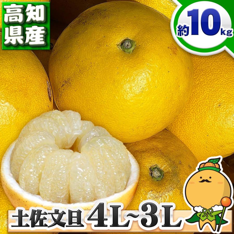 高知県産 訳あり 土佐文旦 大玉 4L 〜 3L サイズ 約10kg 自宅用 高知県産 訳あり 土佐文旦 大玉 4L 〜 3L サイズ 約10kg 自宅用