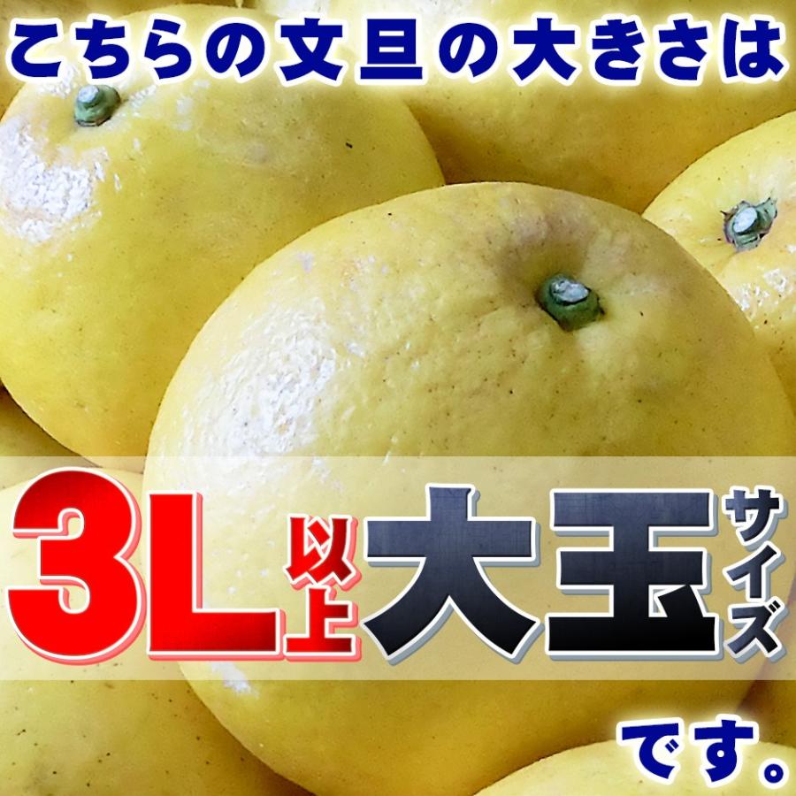 高知県産 訳あり 土佐文旦 大玉 4L 〜 3L サイズ 約10kg 自宅用 高知県産 訳あり 土佐文旦 大玉 4L 〜 3L サイズ 約10kg 自宅用