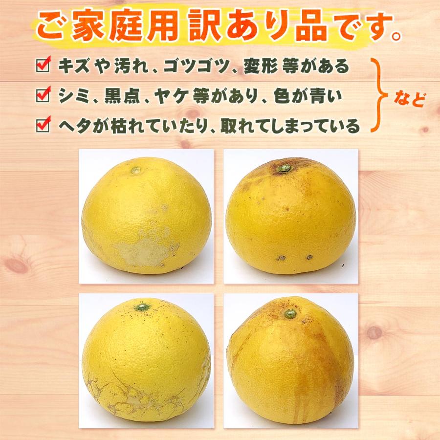 高知県産 訳あり 土佐文旦 大玉 4L 〜 3L サイズ 約10kg 自宅用 高知県産 訳あり 土佐文旦 大玉 4L 〜 3L サイズ 約10kg 自宅用