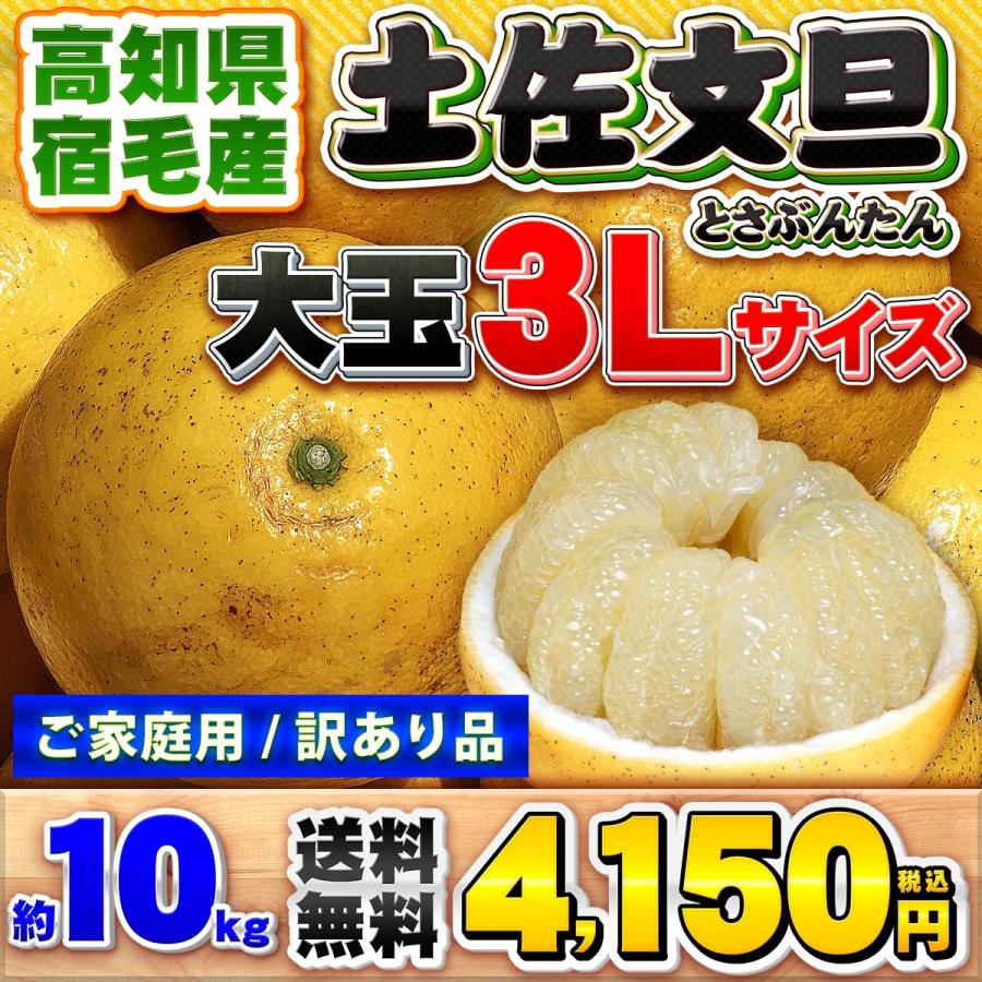 おっき〜い土佐文旦3L 10キロ28