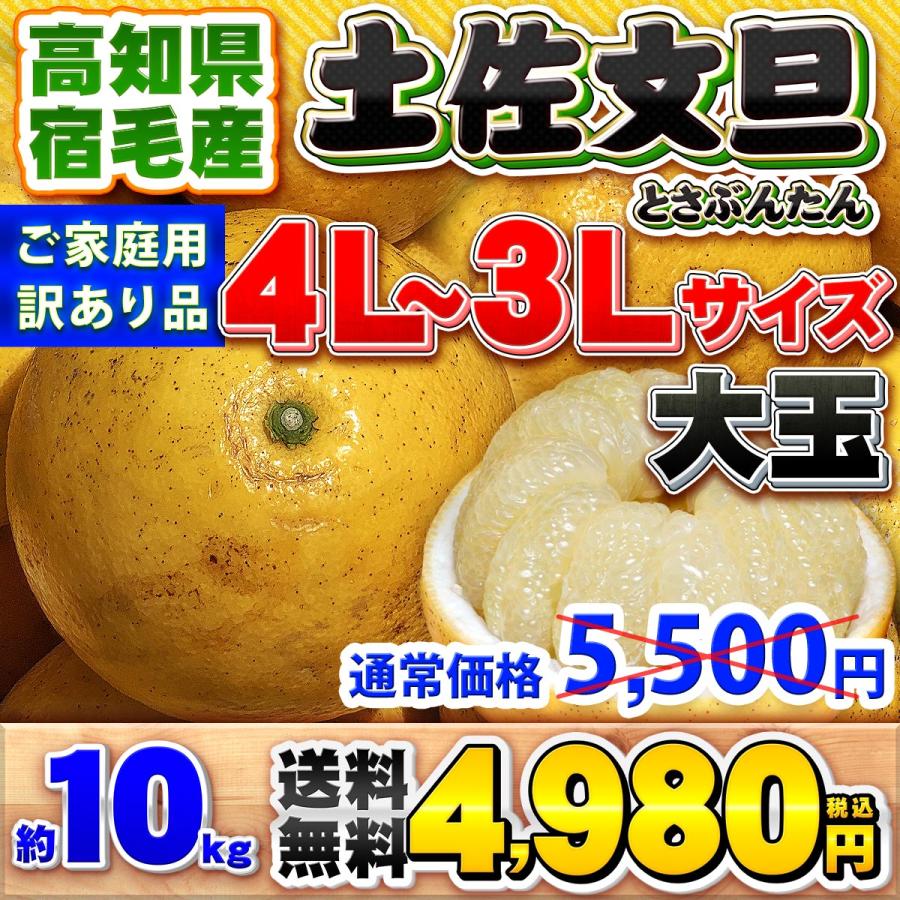高知県産 訳あり 土佐文旦 大玉 4L 〜 3L サイズ 約10kg 自宅用 高知県産 訳あり 土佐文旦 大玉 4L 〜 3L サイズ 約10kg 自宅用