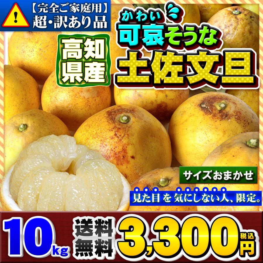 可哀そうな 土佐文旦 特に訳あり サイズ込み 10kg サイズ混合 自宅用