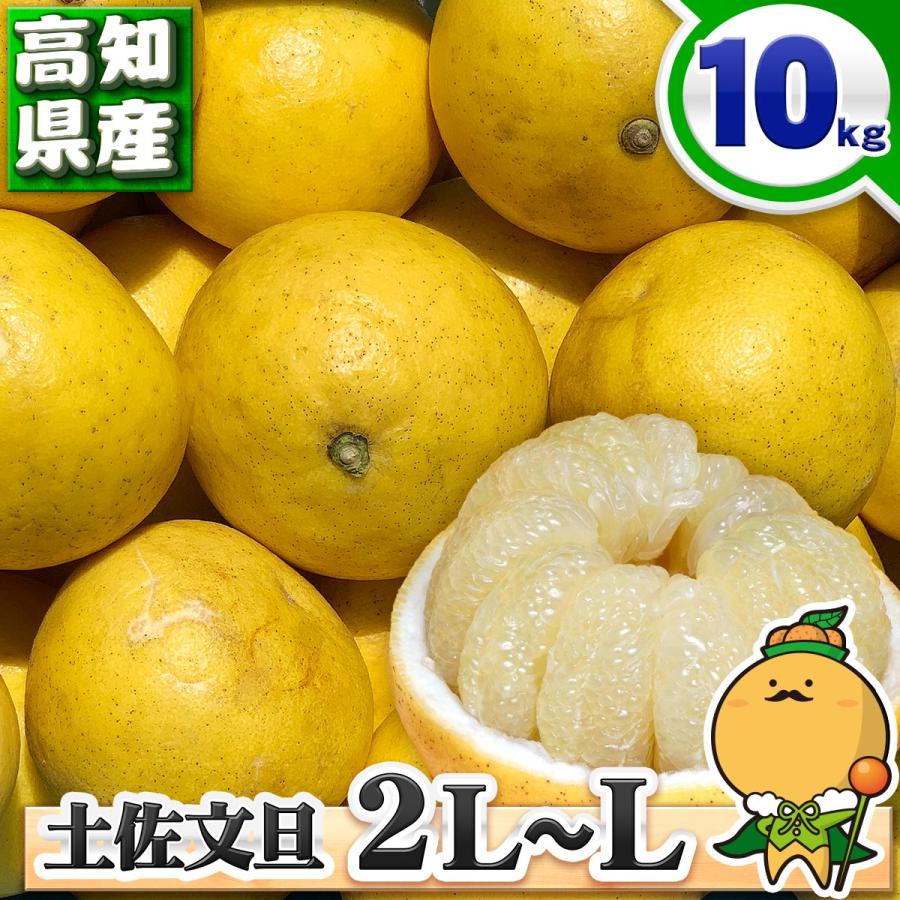 高知県産 訳あり 土佐文旦 中玉 2L 〜 L サイズ 10kg 自宅用 ご 高知県産 訳あり 土佐文旦 中玉 2L 〜 L サイズ 10kg 自宅用 ご