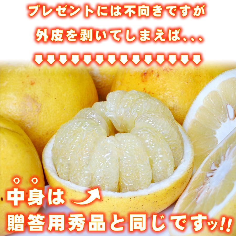 高知県産 訳あり 土佐文旦 中玉 2L 〜 L サイズ 10kg 自宅用 ご 高知県産 訳あり 土佐文旦 中玉 2L 〜 L サイズ 10kg 自宅用 ご
