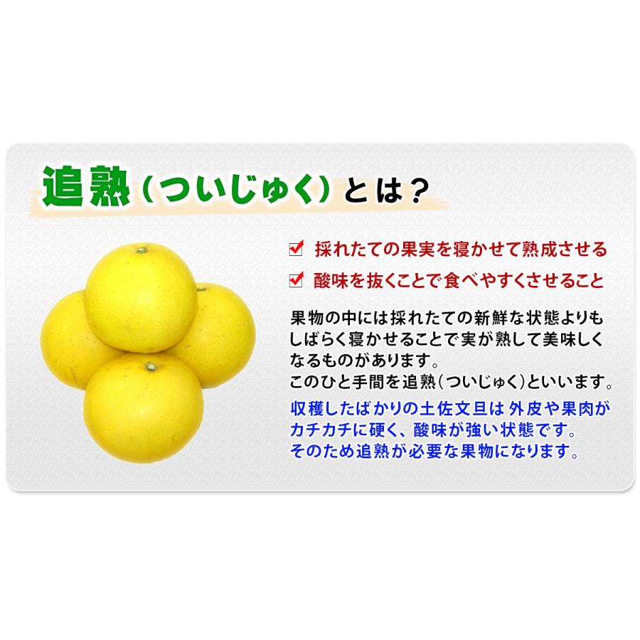 takachocono1ページ ☆文旦【高知県産】家庭用中玉10kg×2箱 高知県産 訳あり 土佐文旦 中玉 M 〜 2L サイズ 10kg 自宅用 ご家庭用