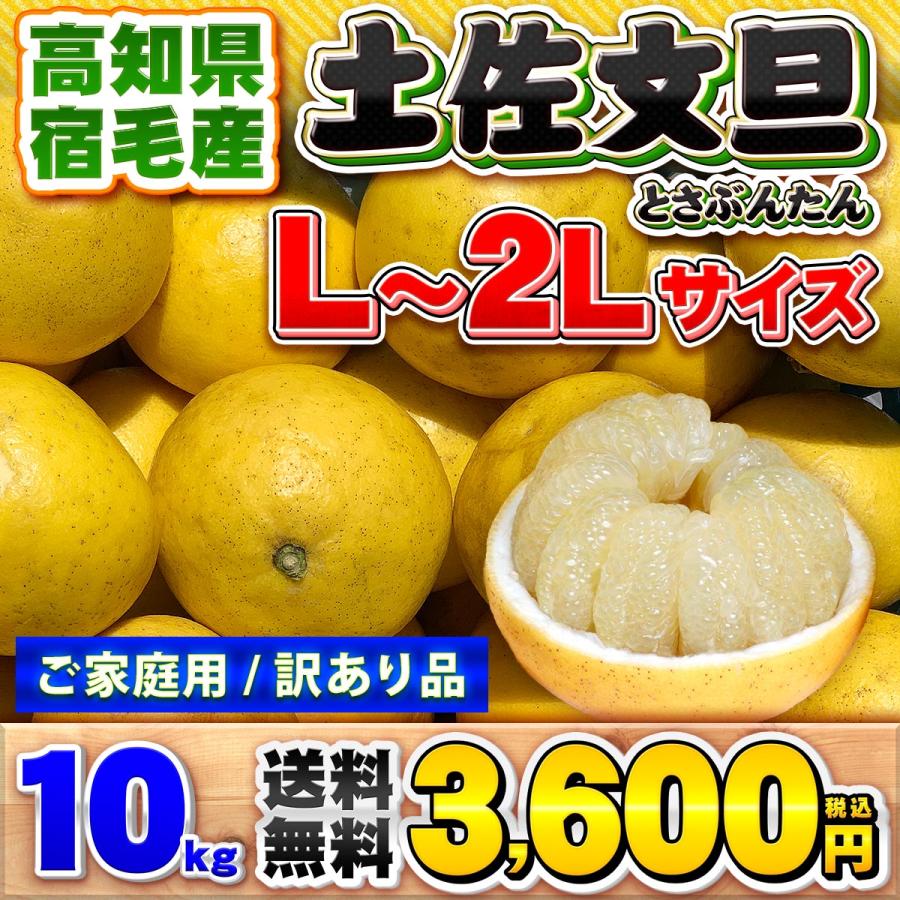 高知県産 訳あり 土佐文旦 中玉 L 〜 2L サイズ 10kg 自宅用 ご家庭用 