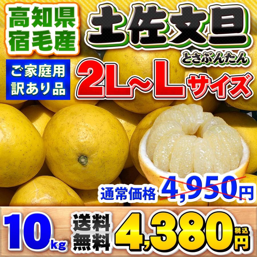 高知県産 訳あり 土佐文旦 中玉 2L 〜 L サイズ 10kg 自宅用 ご 高知県産 訳あり 土佐文旦 中玉 2L 〜 L サイズ 10kg 自宅用 ご
