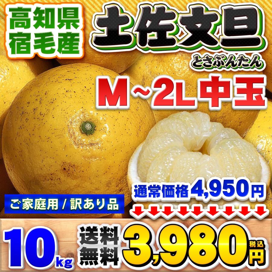 高知県産 訳あり 土佐文旦 中玉 M 〜 2L サイズ 10kg 自宅用 ご家庭用