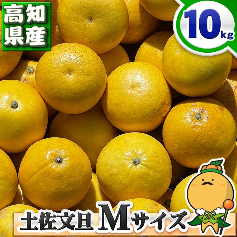 高知県産 訳あり 土佐文旦 Mサイズ 10kg 自宅用 ご家庭用 とさ