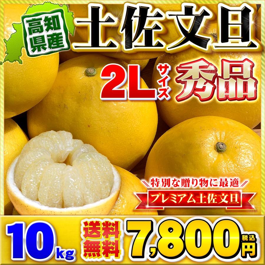 高知県産 土佐文旦 贈答用・秀品 2Lサイズ 10kg 贈り物に最適 とさぶん