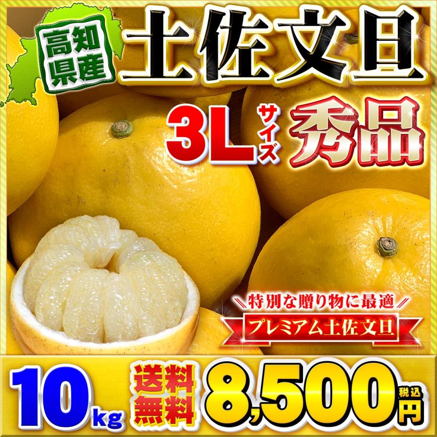 高知県産 土佐文旦 贈答用・秀品 3Lサイズ 大玉 約10kg 贈り物に最適