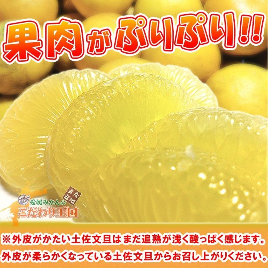 大玉限定☆ご家庭用　高知特産土佐文旦　 4L〜3Lサイズ13〜18玉入り約20㎏ Amazon.co.jp: 【大玉サイズ】【ご家庭用】高知特産 土佐文旦 3L～4L