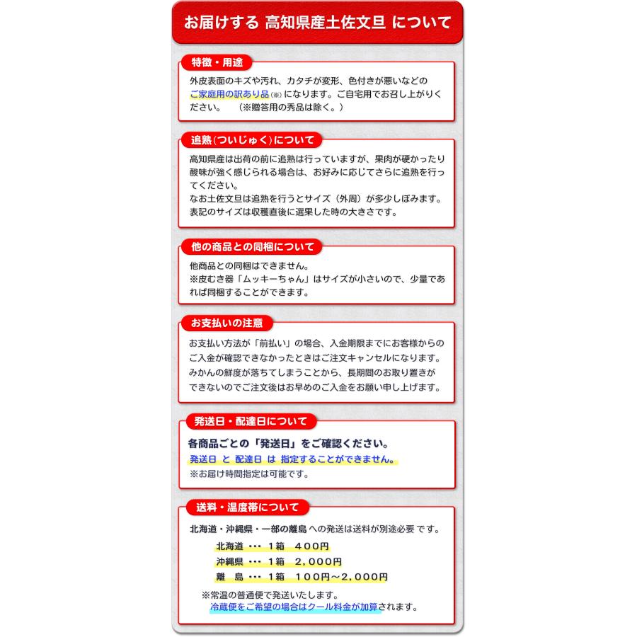 高知県産 土佐文旦 贈答用・秀品 4Lサイズ 大玉 約10kg 贈り物に最適