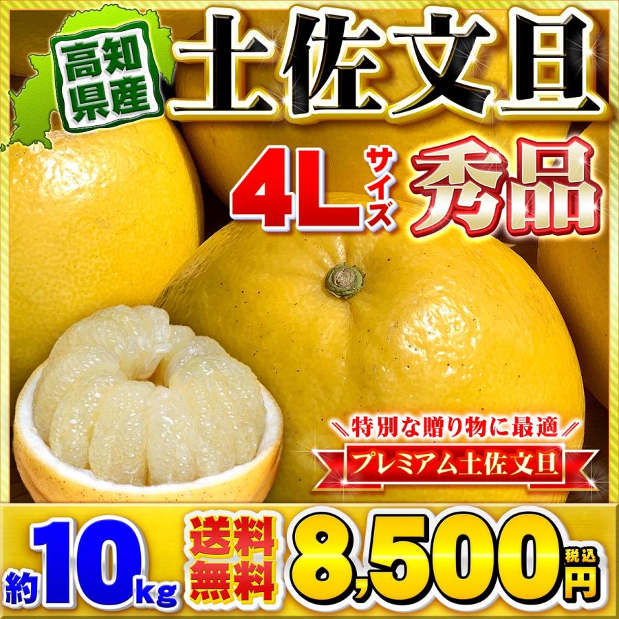 115.高知特産 露地栽培 土佐文旦 4L限定 文旦 約20kg 大玉 サイズ 文旦 土佐文旦 大玉限定 4L 3L 混合 10kg ご家庭用 ぶんたん 高知県産