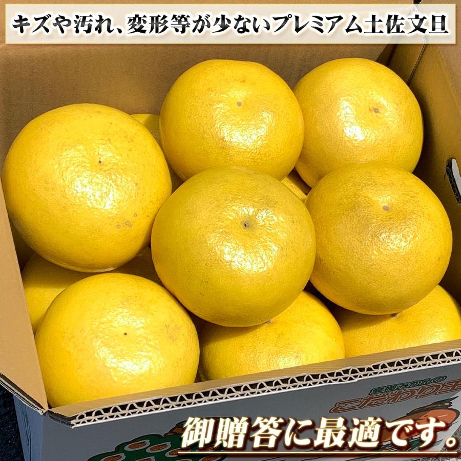 ワカメちゃん　高知特産土佐文旦　4Lサイズ　13〜15玉　約10㎏　2箱 高知県産 土佐文旦 贈答用・秀品 4Lサイズ 大玉 約10kg 贈り物に最適