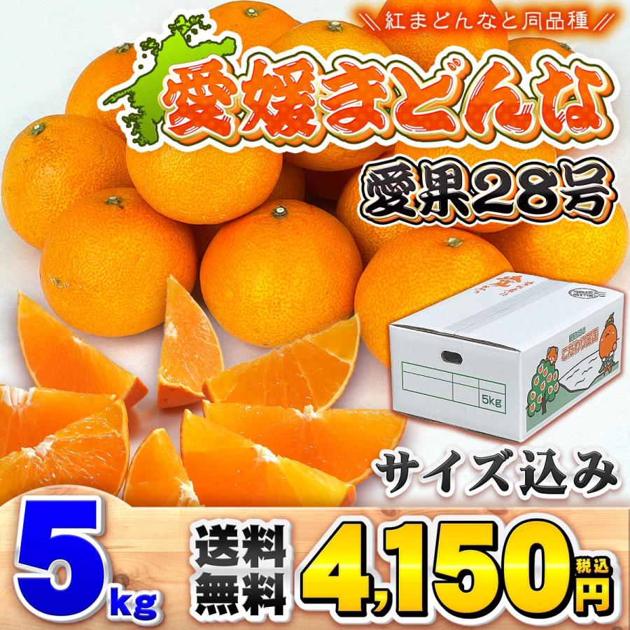 365愛果 まどんな 贈答用 Ｌ玉 ５kg 愛媛 まどんな ご家庭用 5kg サイズおまかせ 愛媛県産 愛媛試果28号