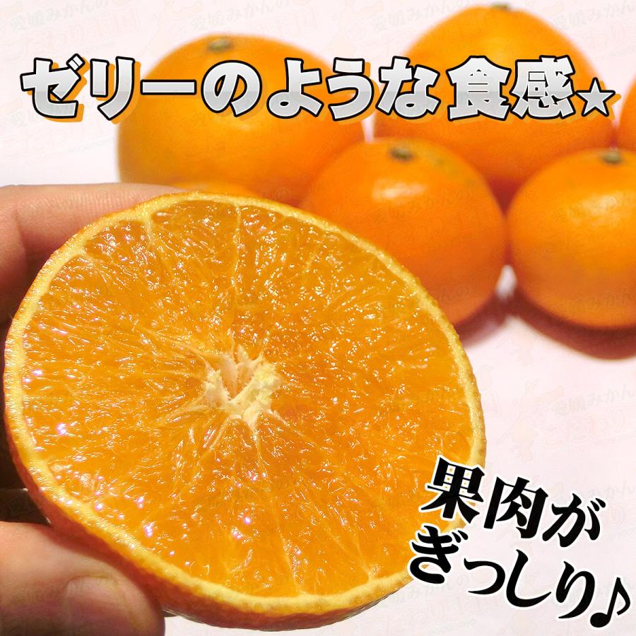 訳あり まどんな 5kg 愛媛県産 サイズおまかせ 愛媛試果28号 訳あり まどんな 5kg 愛媛県産 サイズおまかせ 愛媛試果28号