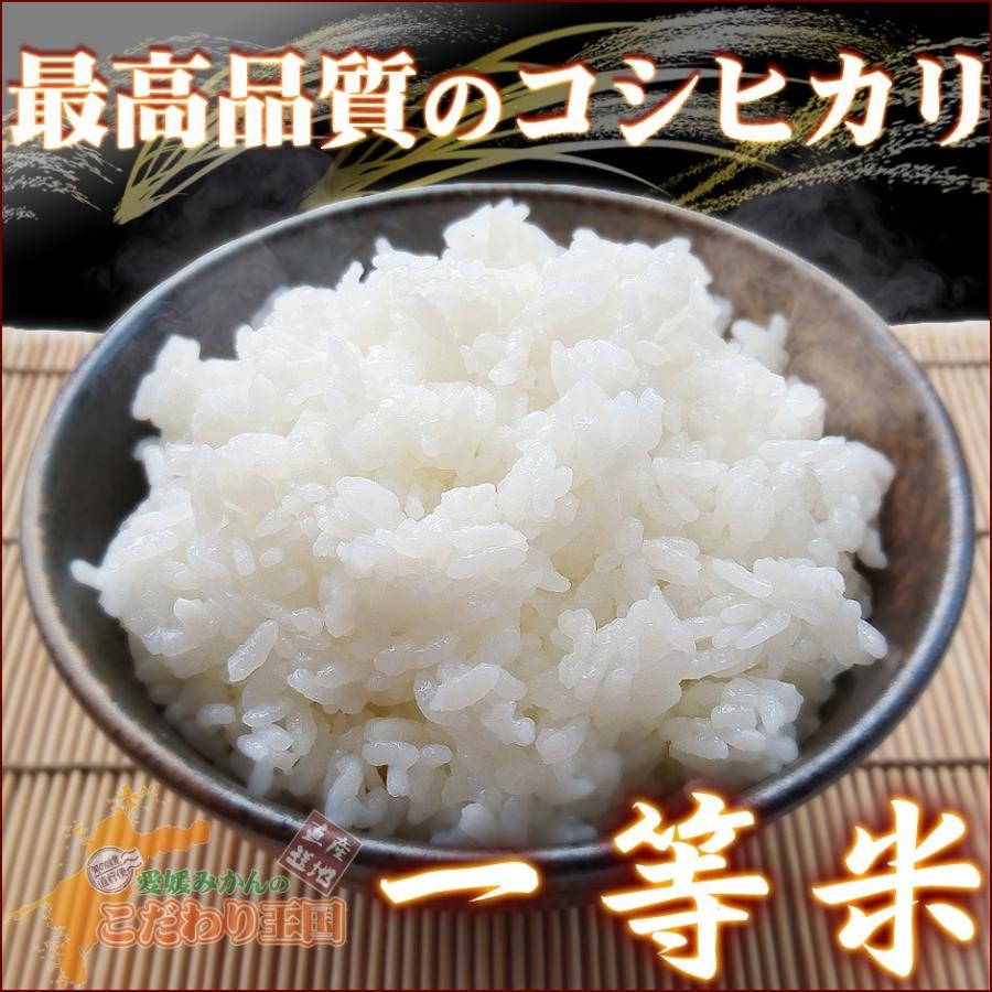 コシヒカリ 三間米 こしひかり 玄米 30kg 令和6年 愛媛 みまま コシヒカリ 三間米 こしひかり 玄米 30kg 令和6年 愛媛 みまま