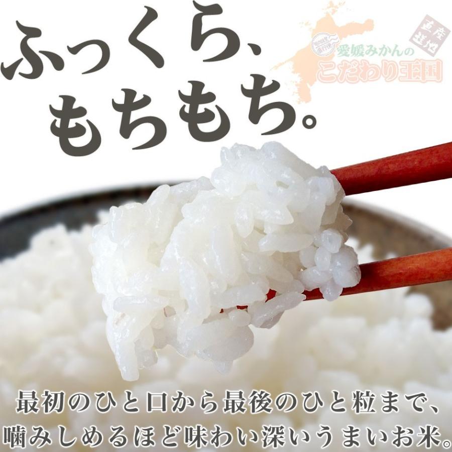 コシヒカリ 三間米 こしひかり 玄米 30kg 令和6年 愛媛 みまま コシヒカリ 三間米 こしひかり 玄米 30kg 令和6年 愛媛 みまま