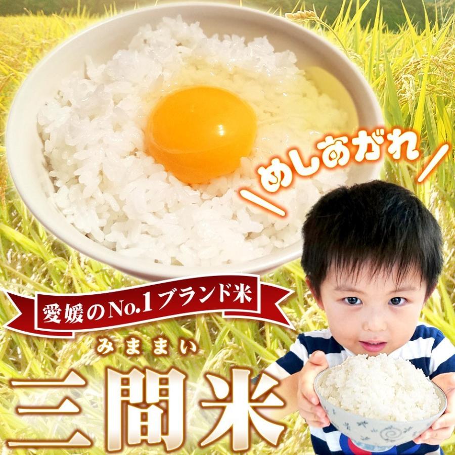 三間米 こしひかり 玄米 30kg または 精米 27kg 令和5年 愛媛 みままい コシヒカリ 一等米 単一原料米 三間 米 おコメ 愛媛県