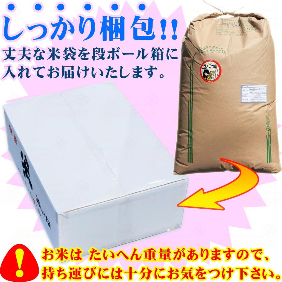 コシヒカリ 三間米 こしひかり 玄米 30kg 令和6年 愛媛 みまま コシヒカリ 三間米 こしひかり 玄米 30kg 令和6年 愛媛 みまま