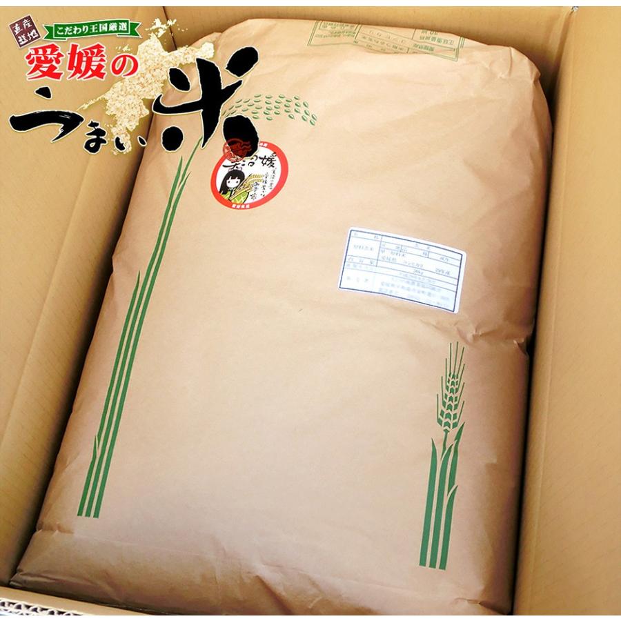 コシヒカリ 三間米 こしひかり 玄米 30kg 令和6年 愛媛 みまま コシヒカリ 三間米 こしひかり 玄米 30kg 令和6年 愛媛 みまま