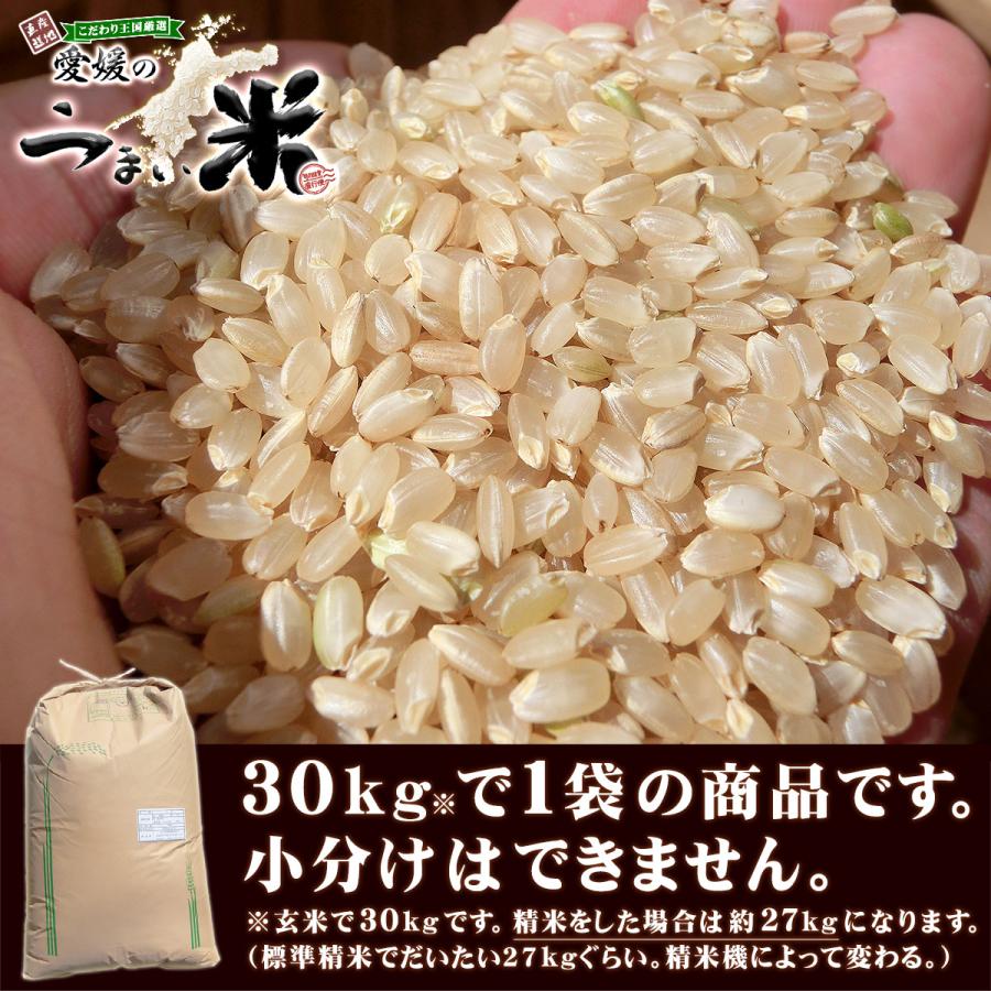 コシヒカリ 三間米 こしひかり 玄米 30kg 令和6年 愛媛 みまま コシヒカリ 三間米 こしひかり 玄米 30kg 令和6年 愛媛 みまま