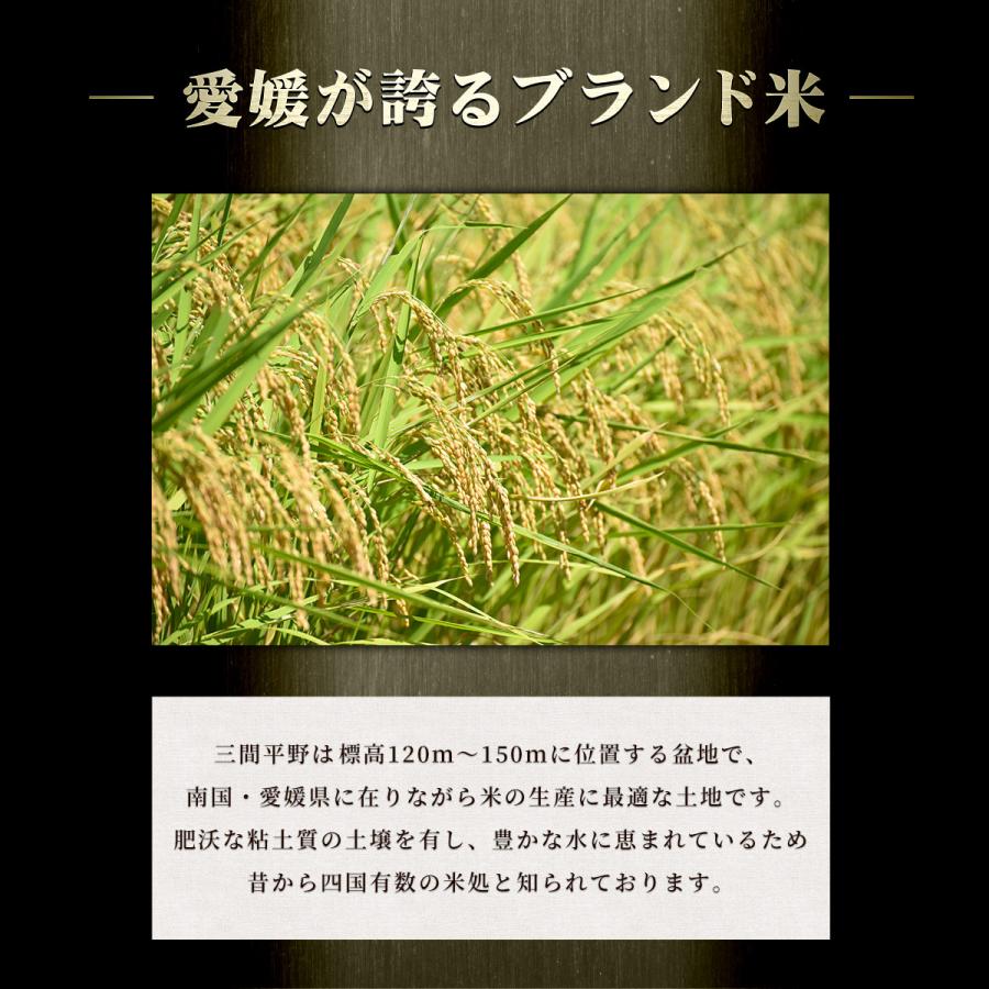 コシヒカリ 令和7年産新米 三間米 こしひかり一等米 玄米30kg または