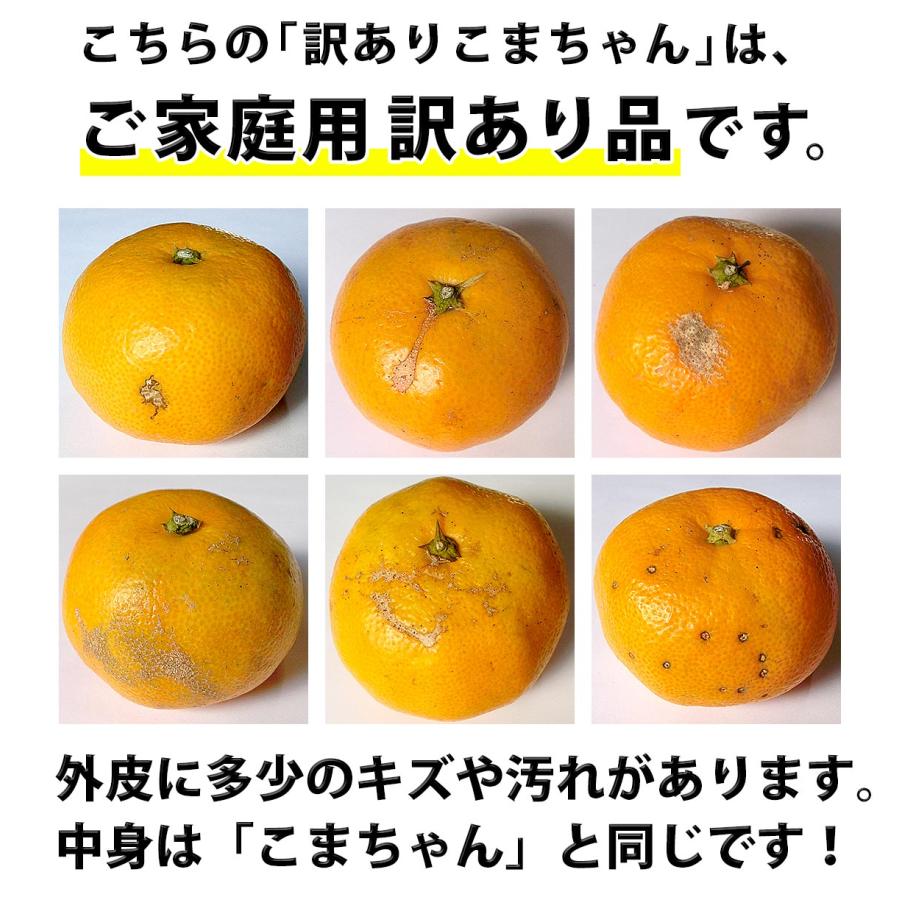 訳あり こまちゃん 10kg 愛媛県産 小玉みかん 自宅用 家庭用 訳あり こまちゃん 10kg 愛媛県産 小玉みかん 自宅用 家庭用