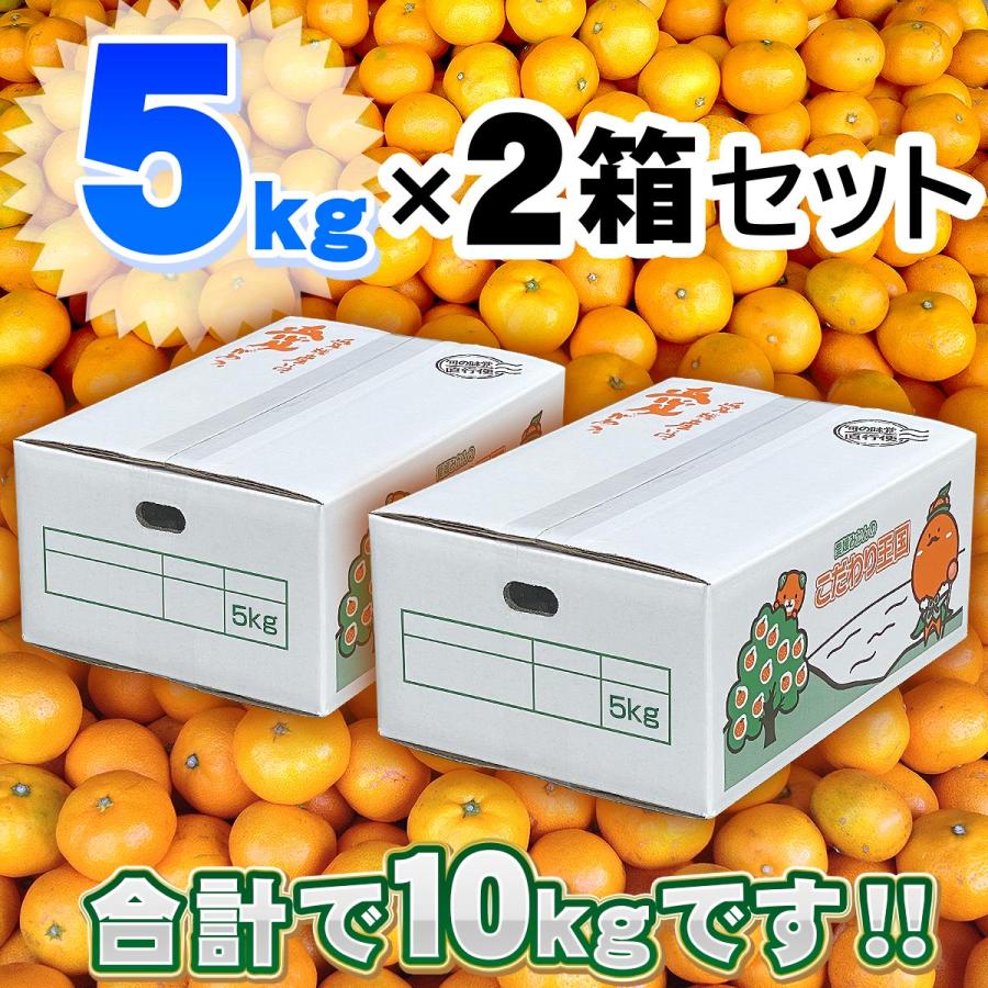 訳あり こまちゃん 5kg×2箱セット 愛媛県産 小玉みかん 自宅用 家庭用 
