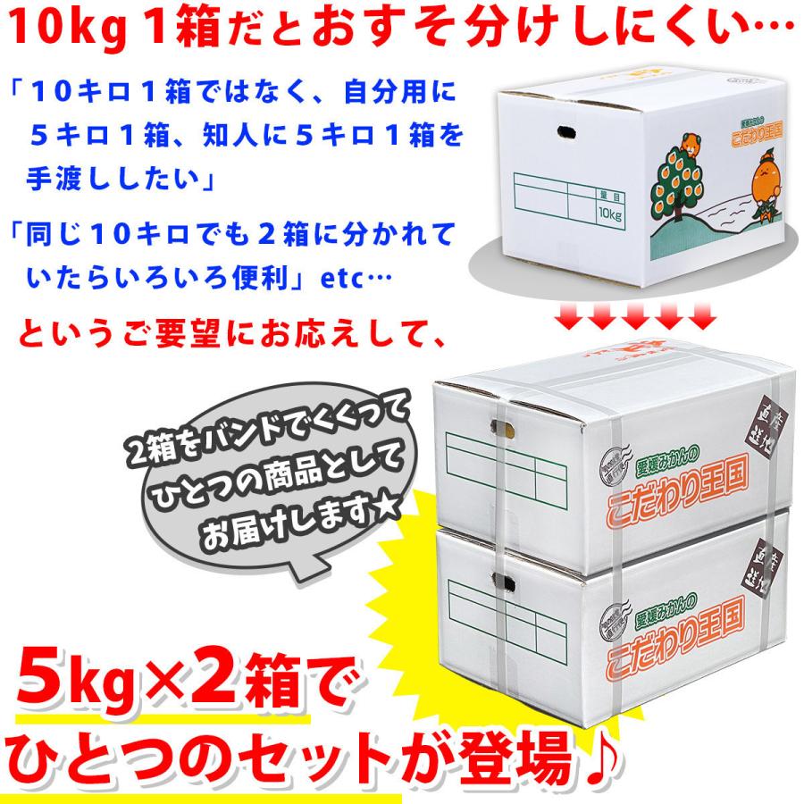 訳あり こまちゃん 5kg×2箱セット 愛媛県産 小玉みかん 自宅用 家庭用 訳あり 宇和島 箱買い 小粒 早生 蜜柑 10キロ｜eu-oukoku｜04