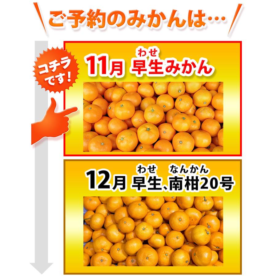 訳あり 愛媛みかん 小玉サイズ 5kg 愛媛県産 自宅用 家庭用 箱