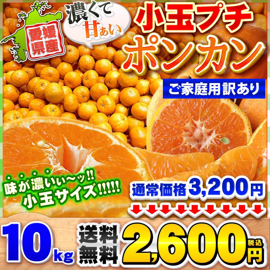 みかん　より味が濃い　ぽんかん　　10 みかんより味が濃いぽんかん10