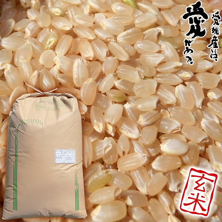 篠山清流米 にこまる 玄米 30kg 米穀年度 令和6年 愛媛産 篠山 篠山清流米 にこまる 玄米 30kg 米穀年度 令和6年 愛媛産 篠山