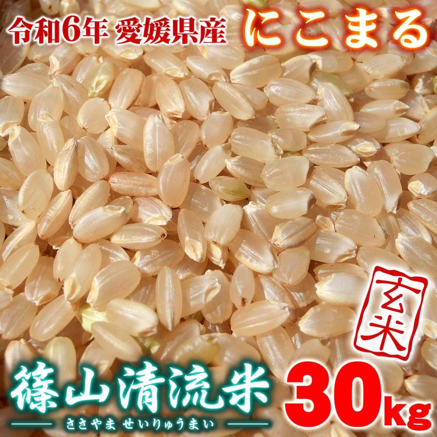 篠山清流米 にこまる 玄米 30kg 米穀年度 令和6年 愛媛産 篠山 篠山清流米 にこまる 玄米 30kg 米穀年度 令和6年 愛媛産 篠山