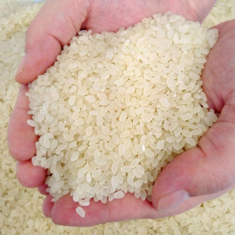 篠山清流米 にこまる 玄米 30kg 米穀年度 令和6年 愛媛産 篠山 篠山清流米 にこまる 玄米 30kg 米穀年度 令和6年 愛媛産 篠山