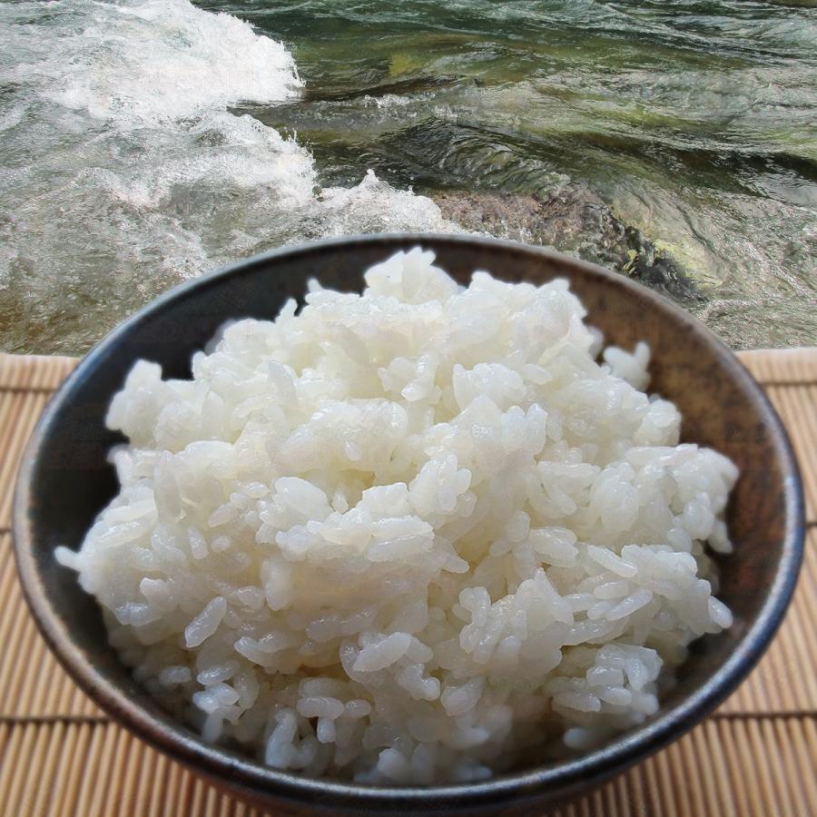 篠山清流米 にこまる 玄米 30kg 米穀年度 令和6年 愛媛産 篠山 篠山清流米 にこまる 玄米 30kg 米穀年度 令和6年 愛媛産 篠山