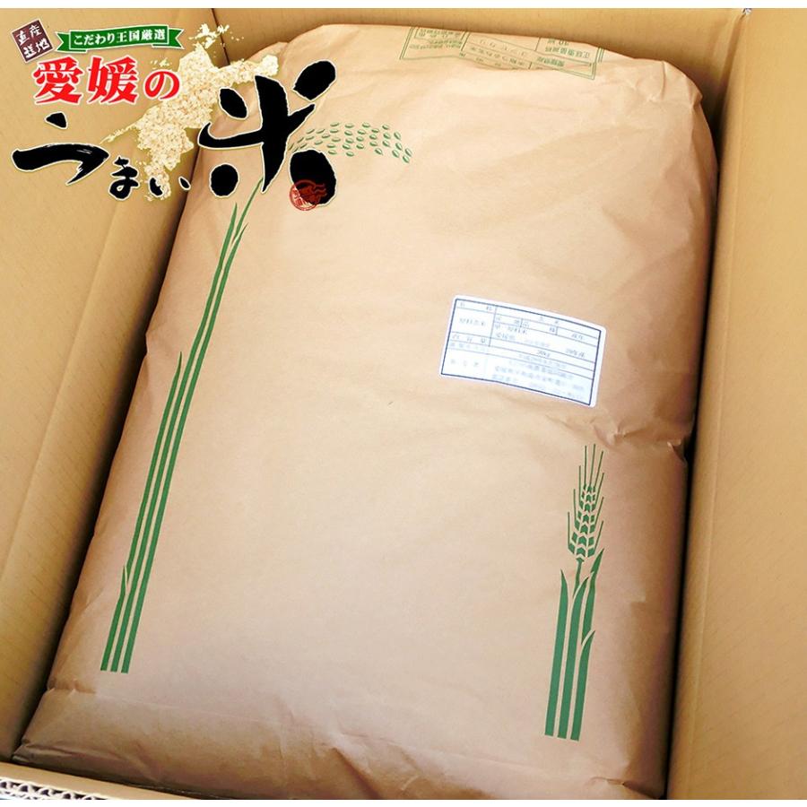 篠山清流米 にこまる 玄米 30kg 米穀年度 令和6年 愛媛産 篠山 篠山清流米 にこまる 玄米 30kg 米穀年度 令和6年 愛媛産 篠山