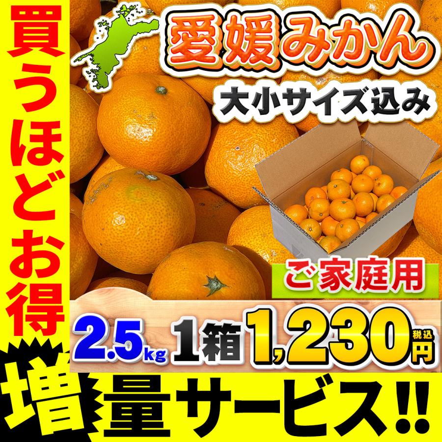 2箱で送料無料、3箱でおまけ付き】 ご家庭用 愛媛みかん 大小サイズ