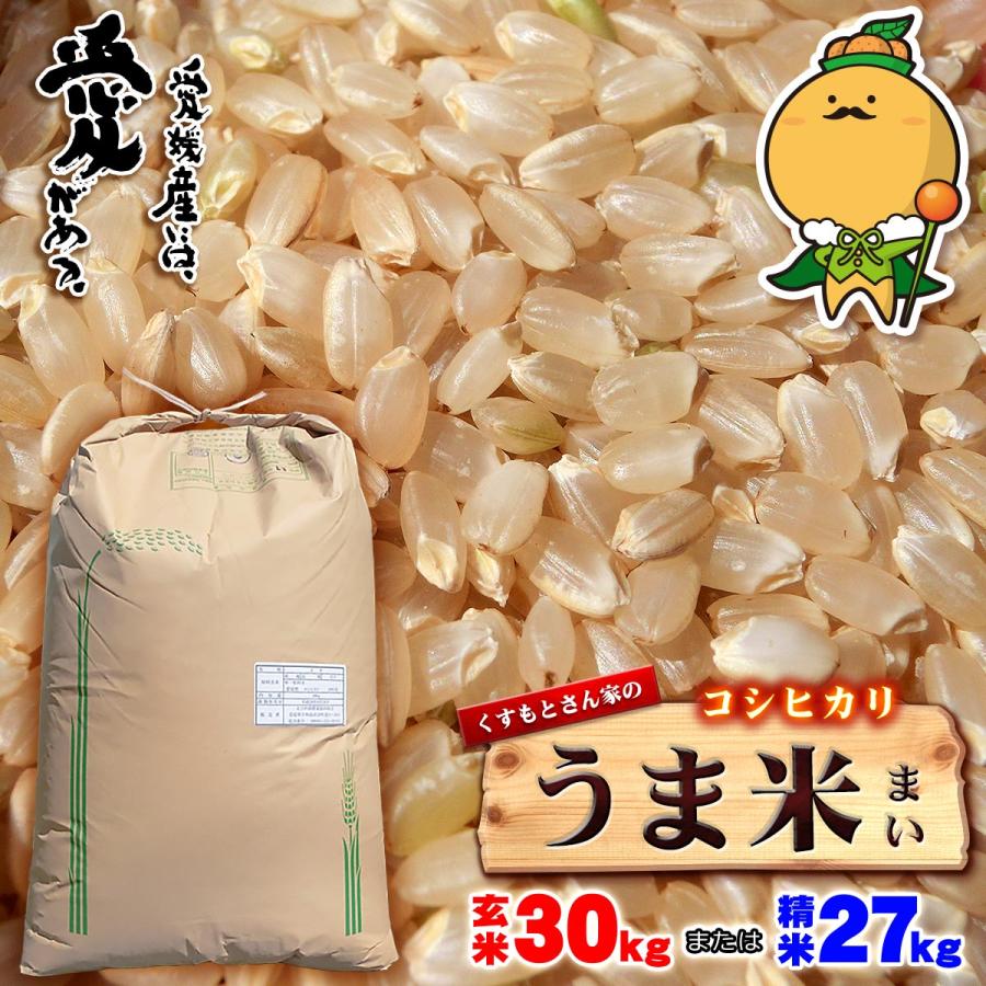 愛媛県愛南町産 うま米 令和6年度 新米 コシヒカリ 玄米30kg 愛媛県愛南町産 うま米 令和6年度 新米 コシヒカリ 玄米30kg