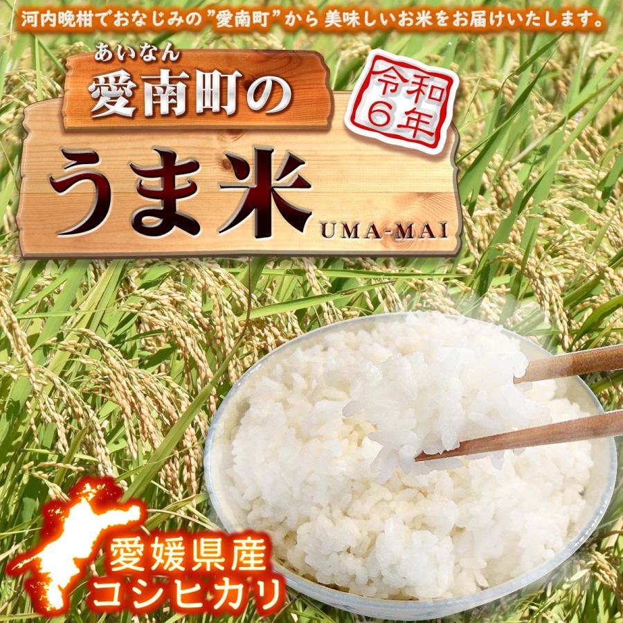愛媛県愛南町産 うま米 令和6年度 新米 コシヒカリ 玄米30kg 愛媛県愛南町産 うま米 令和6年度 新米 コシヒカリ 玄米30kg