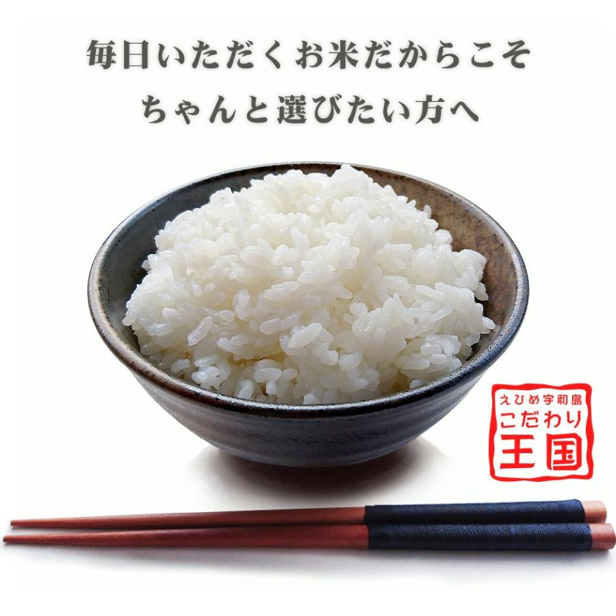 愛媛県愛南町産 うま米 令和6年度 新米 コシヒカリ 玄米30kg 愛媛県愛南町産 うま米 令和6年度 新米 コシヒカリ 玄米30kg
