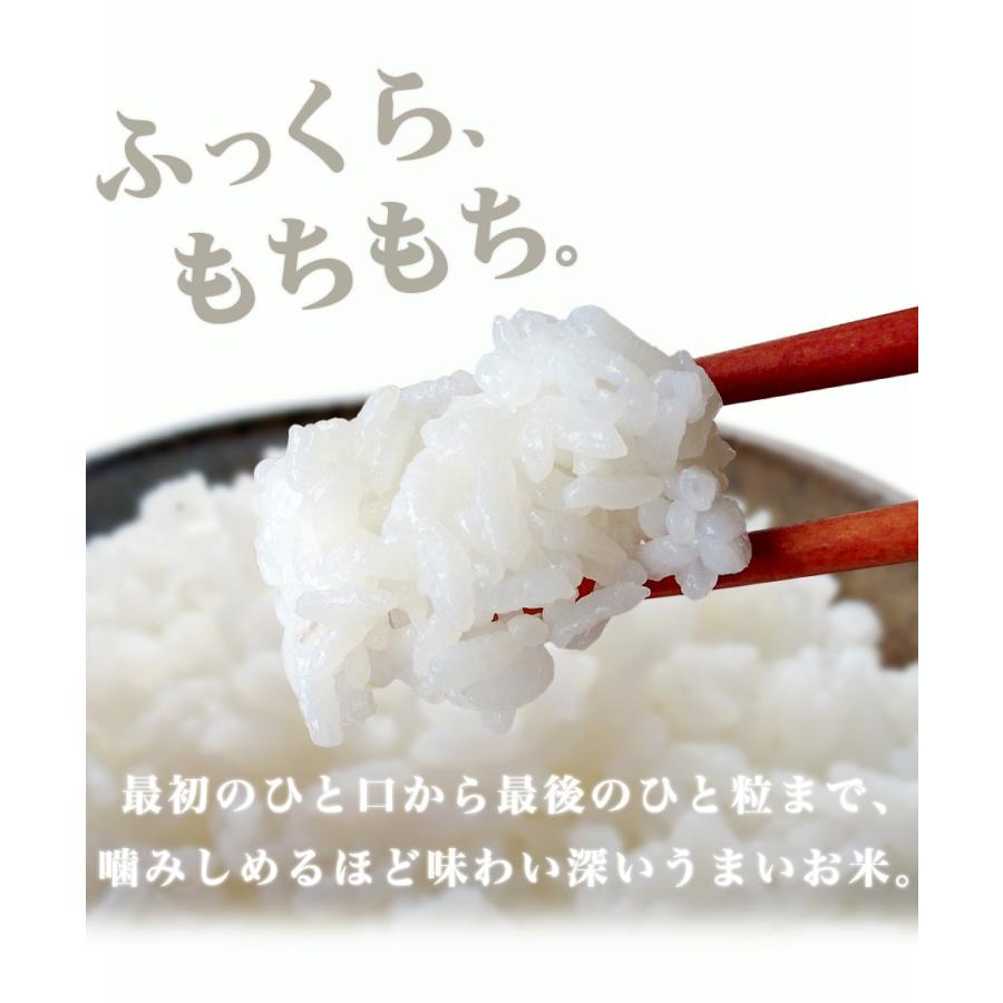 愛媛県愛南町産 うま米 令和6年度 新米 コシヒカリ 玄米30kg 愛媛県愛南町産 うま米 令和6年度 新米 コシヒカリ 玄米30kg