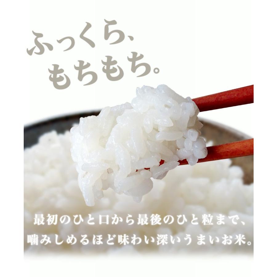 楠本さん家の うま米 令和５年度 新米 コシヒカリ 玄米30kg または 精米27kg 愛媛県 愛南町産 河内晩柑の農家さんが作ったお米 単一原料米｜eu-oukoku｜06